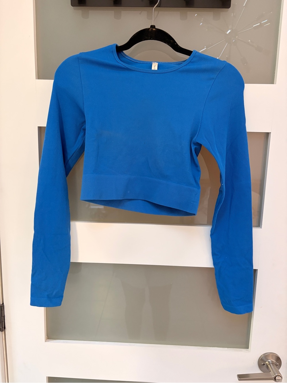 Babaton Electric Blue Long-Sleeve Cropped Top